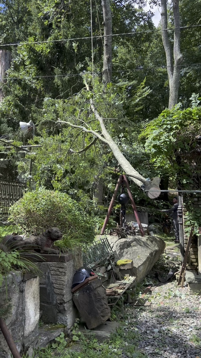 Emergency fallen tree removal in Peekskill NY