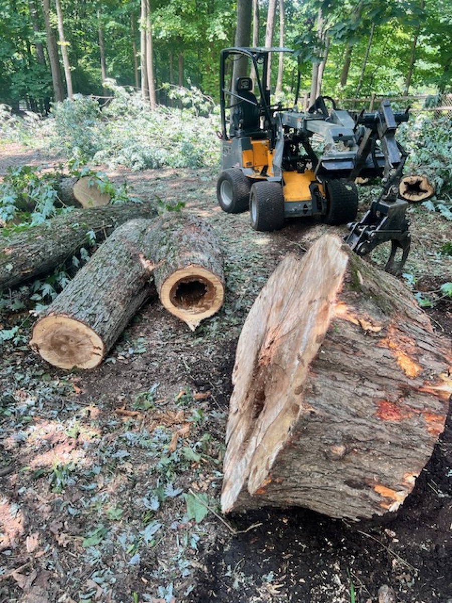 Log removal with grapple equipment in Bedford NY