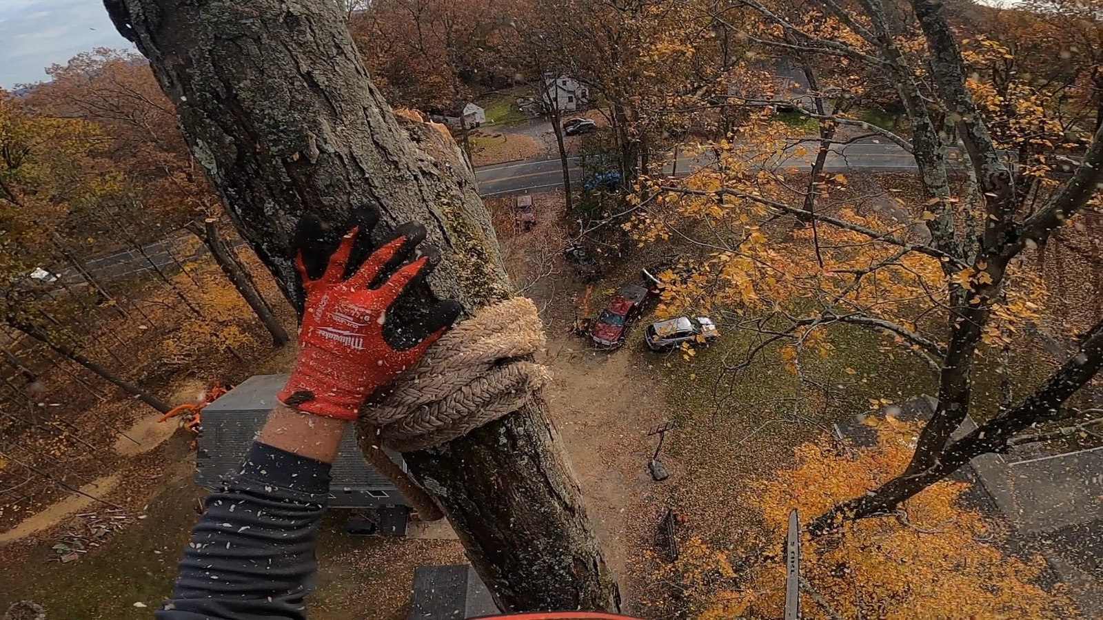 Professional tree removal service in Peekskill NY - Second Nature Tree Service