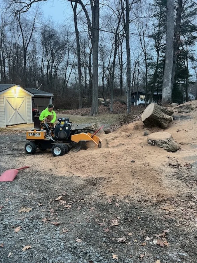 Professional stump grinding service in Peekskill and Westchester County NY